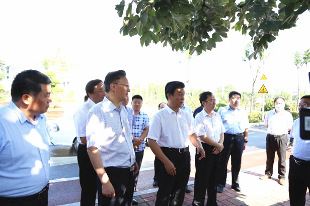 市人大常委会检查槐荫区兴济河生态治理情况