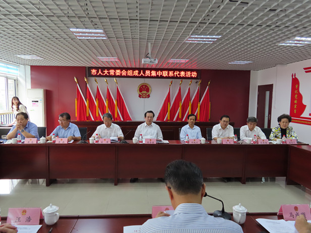 市人大常委会殷鲁谦主任到槐荫区集中联系市人大代表,接待民情联络员