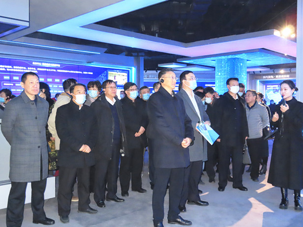 区人大常委会组织省、市、区人大代表开展会前集中视察活动