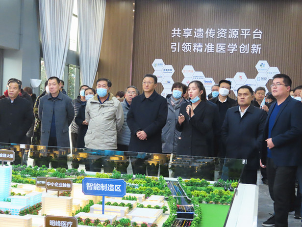 区人大常委会组织省、市、区人大代表开展会前集中视察活动