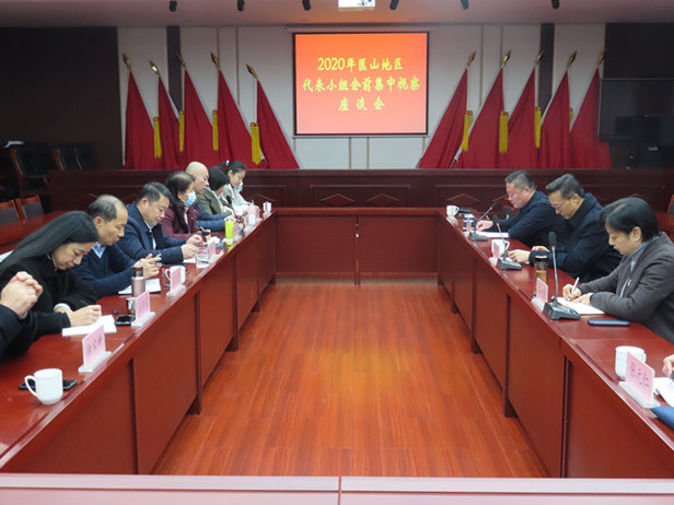 孟宪伟主任参加匡山地区代表小组会前集中视察活动