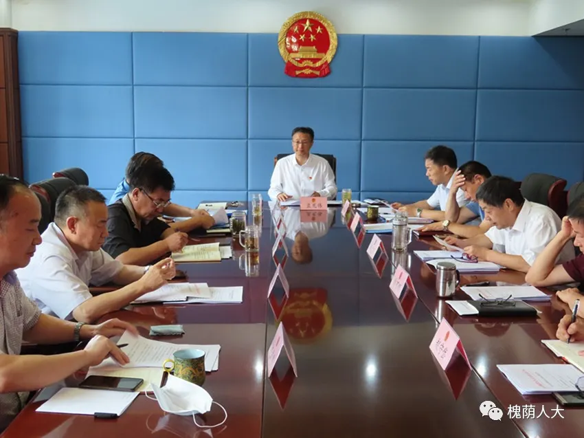 区人大常委会党组集中学习习近平“七一”重要讲话精神