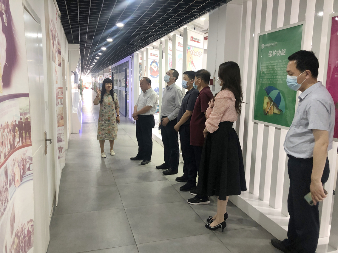 【民呼我应 代表有约】助力“文化兴” 专委在行动——区人大教科文卫委员会走访调研重点文化企业