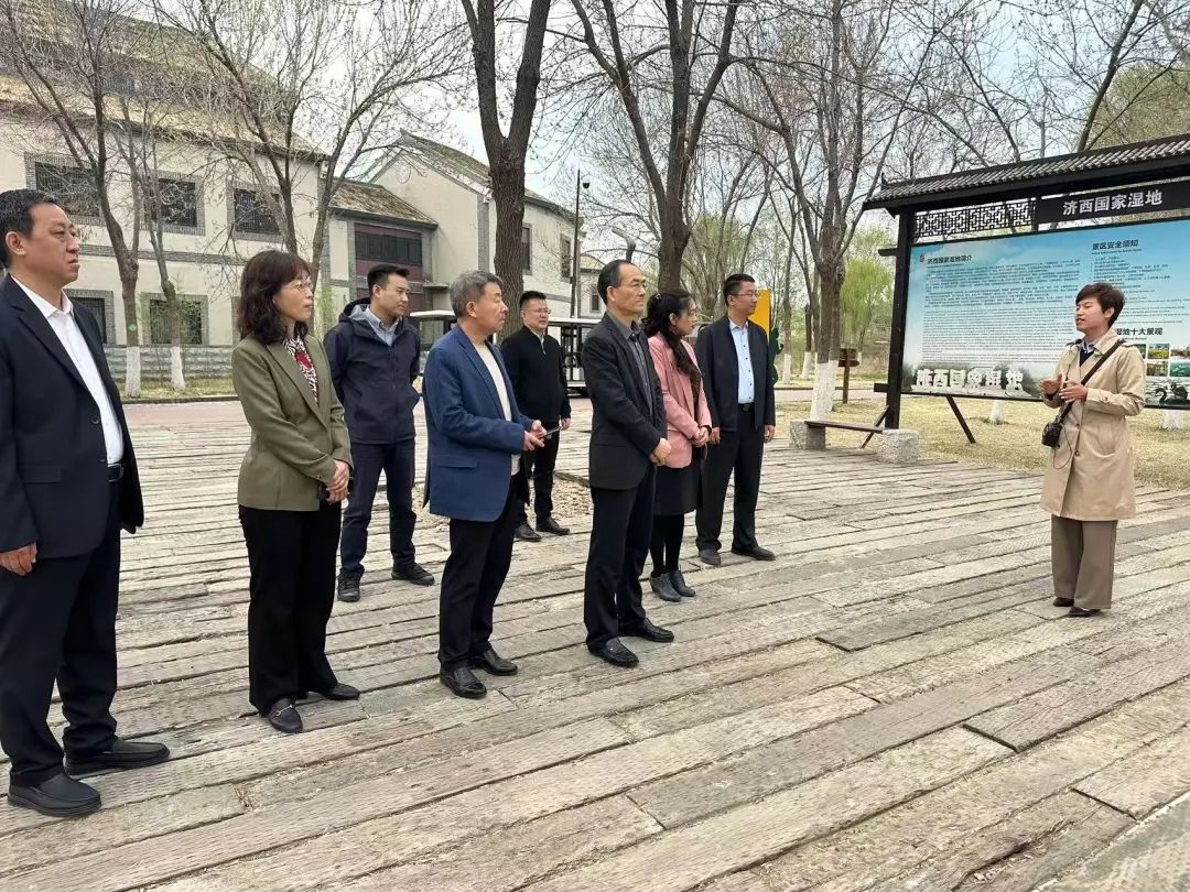 槐荫区人大常委会开展文旅产业赋能乡村振兴专题调研