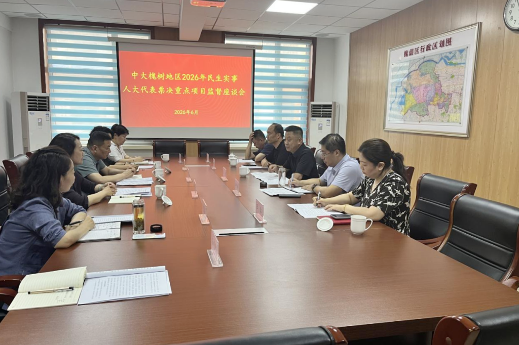 区人大常委会二级巡视员陈锐参加中大槐树街道民生实事重点项目监督座谈会